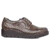 CALLAGHAN Haman 89844 Negro y marrón Zapatos cordones mujer