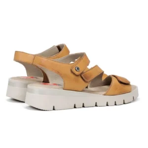 FLUCHOS F0833 Beis y camel. - Tienda Online - zapatosdublin.es