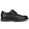 FLUCHOS Fredy F1604 Negro y marrón Blucher liso cordones Hombre